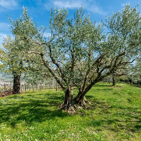 Nocleg ze śniadaniem Il Pettirosso Negrar