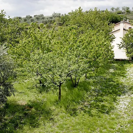 Oda ve Kahvaltı Il Pettirosso Negrar