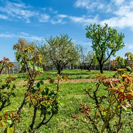 Bed & Breakfast Il Pettirosso 3*