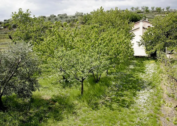 Bed & Breakfast Il Pettirosso Negrar